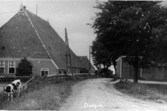 10-arkum