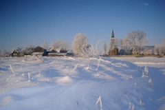 feb-2012-dedgum-4