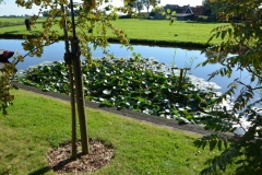 2012-9-reunie-dedgum-23