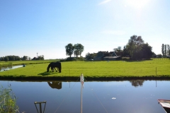 2012-9-reunie-dedgum-24