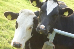 2012-9-reunie-dedgum-83